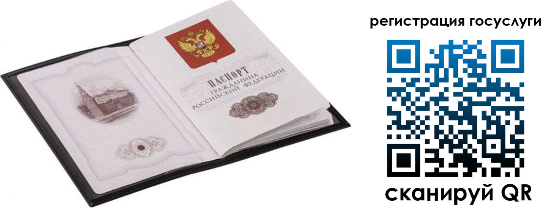 временная регистрация поиск в Славгороде
